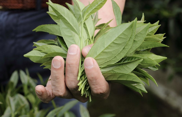 画像はイメージです