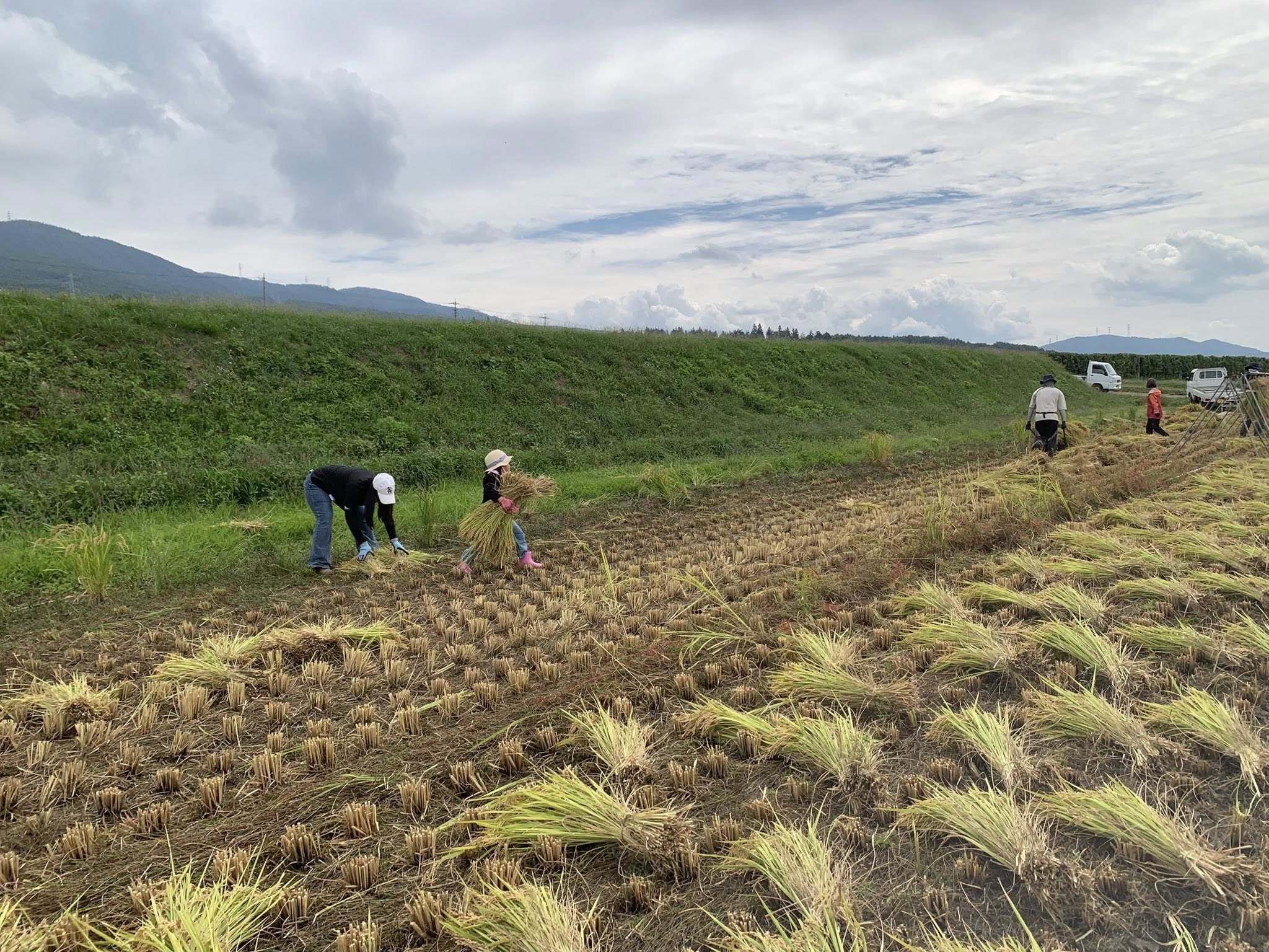 毎日のごはんが、未来への投資に。