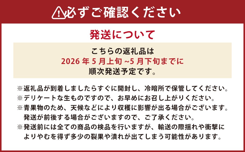 熊本県産 小玉すいか 1玉
