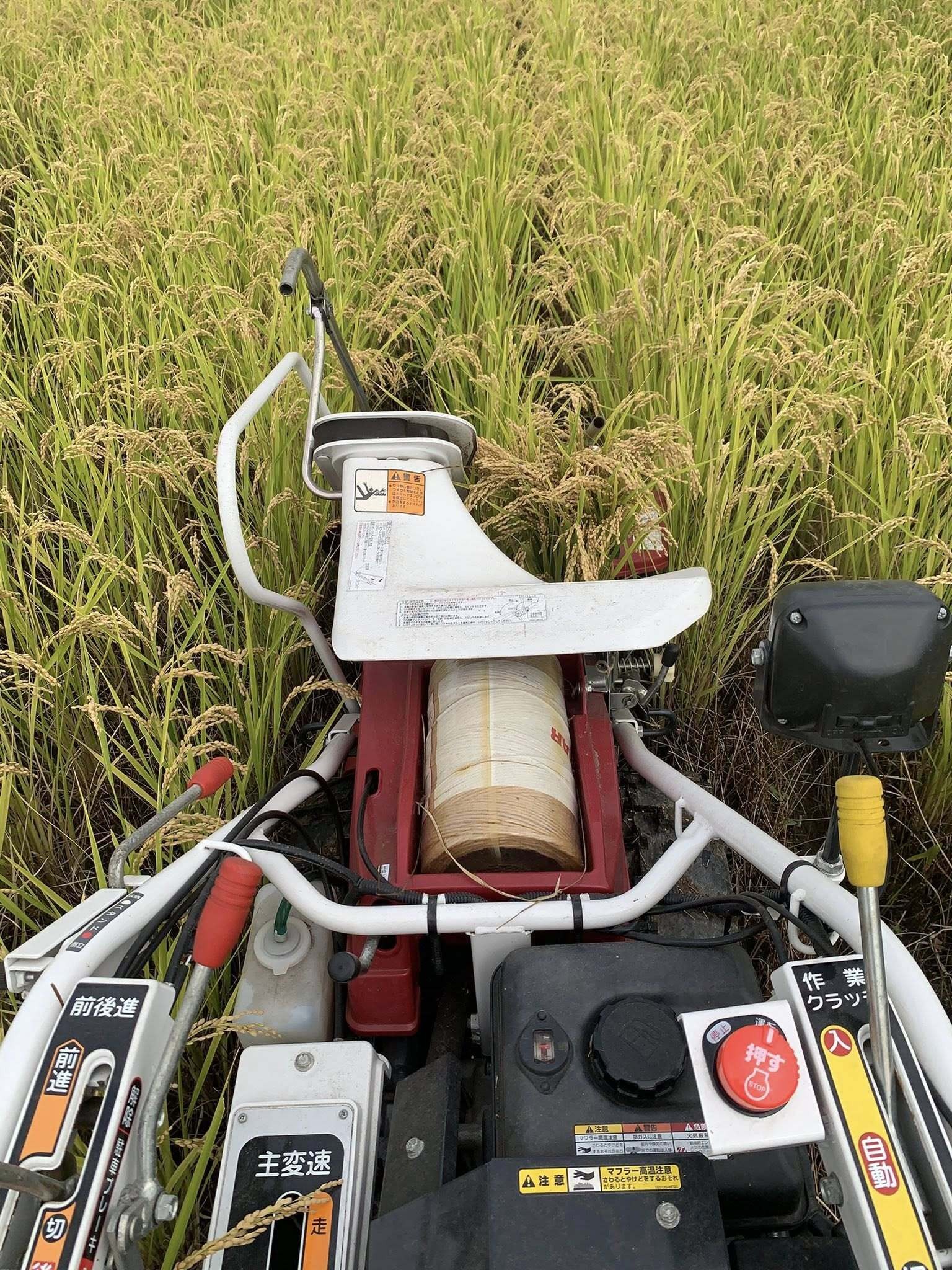 毎日のごはんが、未来への投資に。