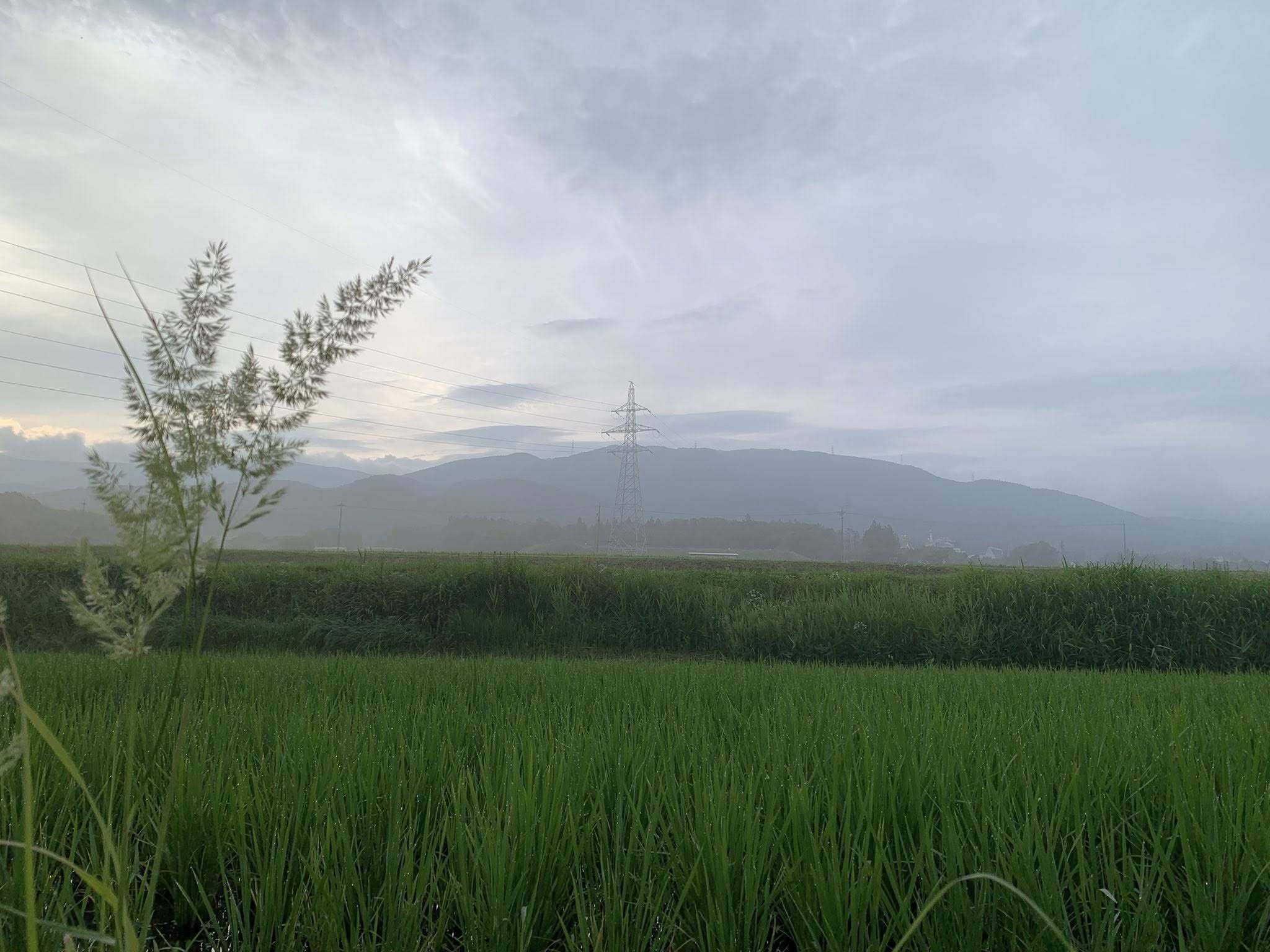 毎日のごはんが、未来への投資に。