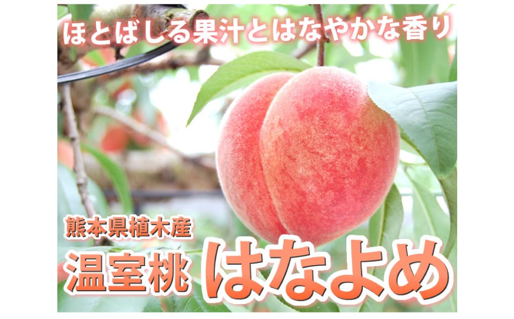 桃 はなよめ 秀品 約900g 6-10玉入り