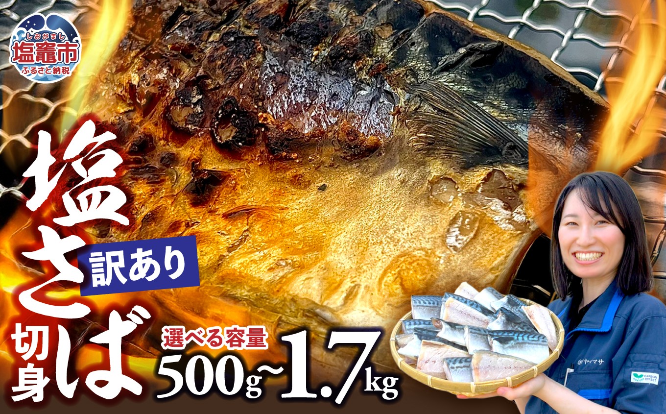 【訳あり】塩さば切身 深層海塩仕込み | ym00013 サバ さば 切り身 鯖 海塩 塩竈市 ヤママサ