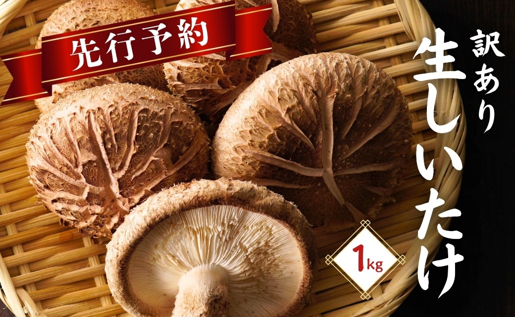 【訳あり】 大分県産 しいたけ 津久見で育てた肉厚生しいたけ 1㎏　