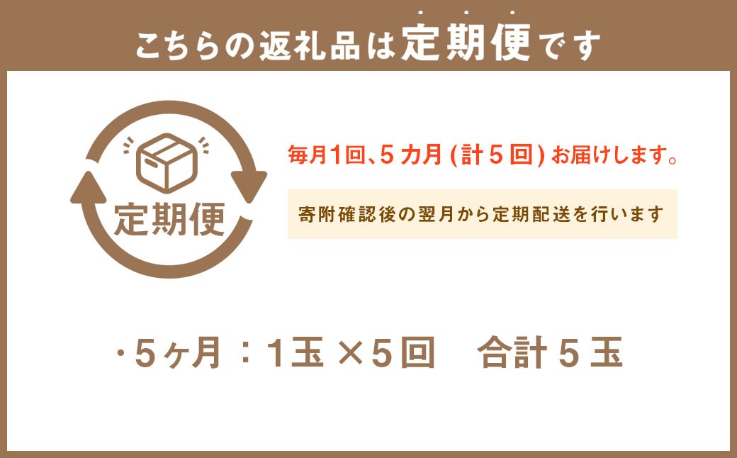 【5ヶ月定期便】静岡県産 高級アローマメロン 小玉 1玉（約0.9kg以上）