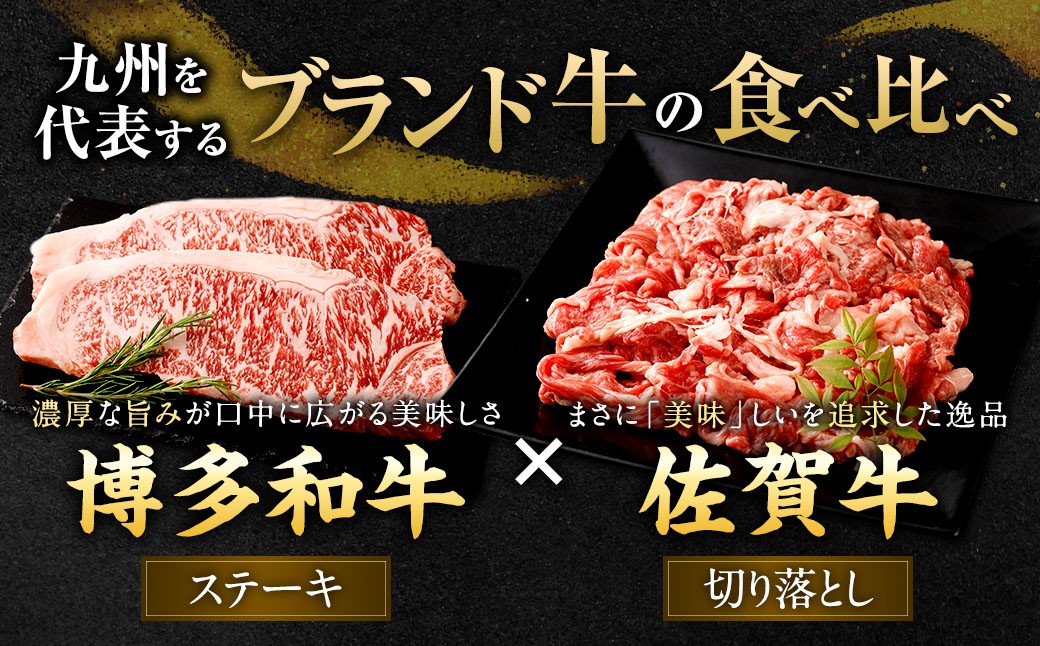 博多和牛ステーキ（サーロイン）4枚＋佐賀牛切り落とし400g