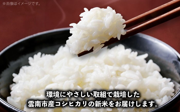 米 コメ 新米 精米 白米 コシヒカリ 島根 雲南