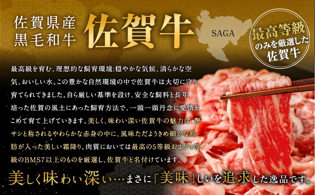 博多和牛ステーキ（ヒレ）2枚＋佐賀牛切り落とし400g