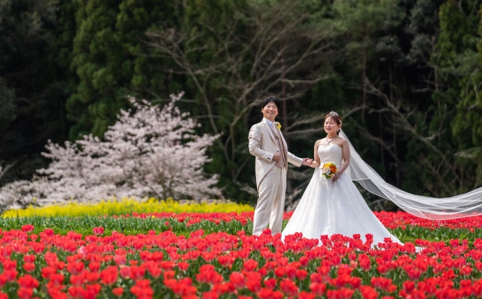 チケット 撮影プラン フォーマル 撮影 撮影衣装 写真 撮影 家族 思い出 子ども キッズ 撮影チケット 七五三 記念撮影 