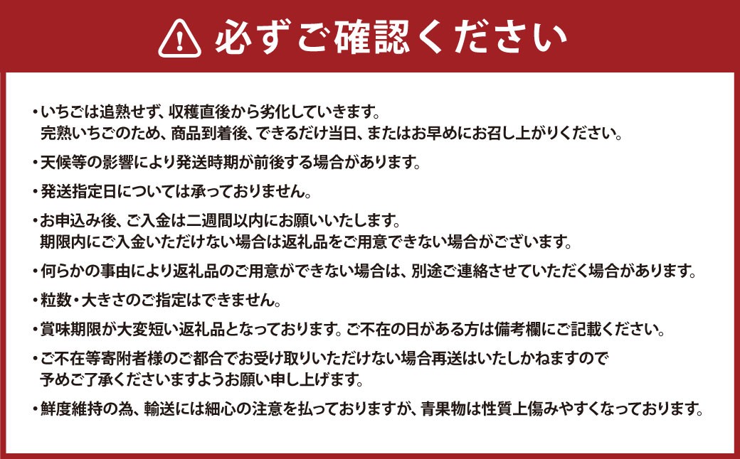 完熟 プレミアム いちご 「 グランベリー 」 品種： よつぼし 1パック