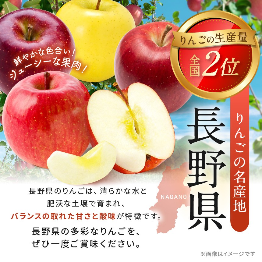 10月下旬より発送予定です。