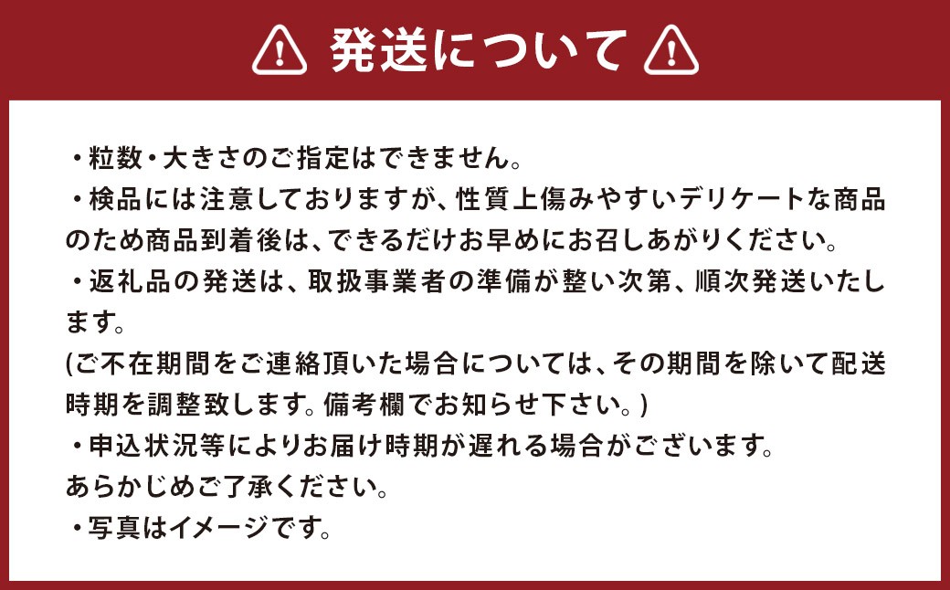 「元気になりたい人に届けたい」秋冬の野菜セット