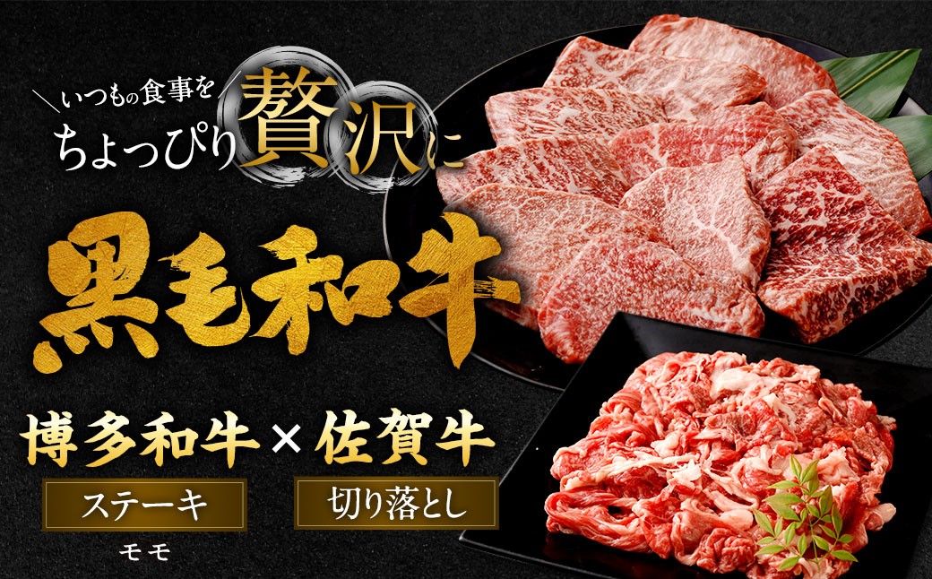 博多和牛ステーキ（モモ）10枚＋佐賀牛切り落とし400g