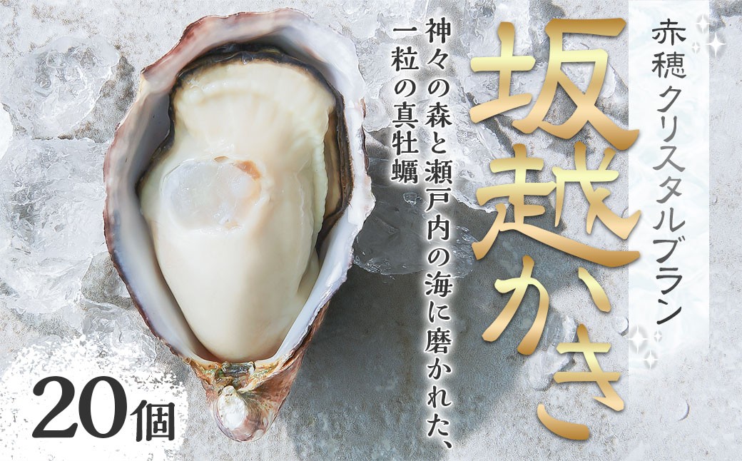 牡蠣坂越かき赤穂クリスタルブラン 20個