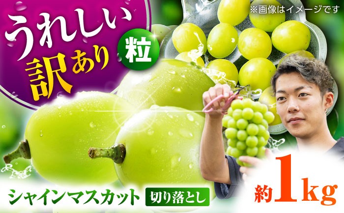 訳あり シャインマスカット 切り落とし 約1kg ブドウ 葡萄 ぶどう 国産 果物 くだもの フルーツ 熊本県 山鹿市
