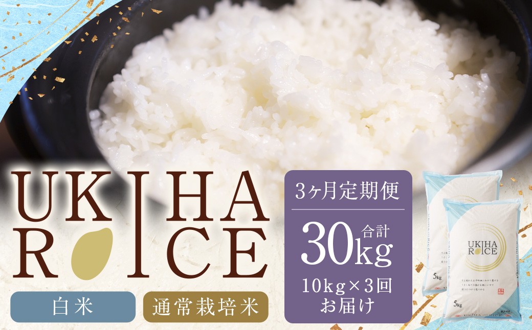 【3ヶ月定期便】 みずほファーム UKIHA RICE 白米5kg✕2袋✕3回 （通常栽培米）