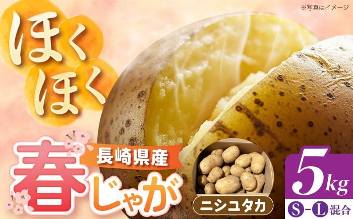 じゃがいも ポテト 長崎 雲仙 うんぜん 料理 煮込み カレー シチュー おでん じゃがちゃん 馬鈴薯 ばれいしょ ジャガイモ