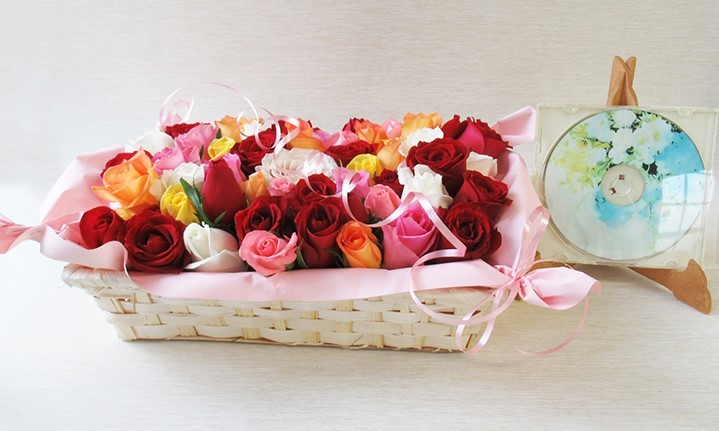 ※画像内のCDは大きさ比較用です。付属しませんのでご注意ください。