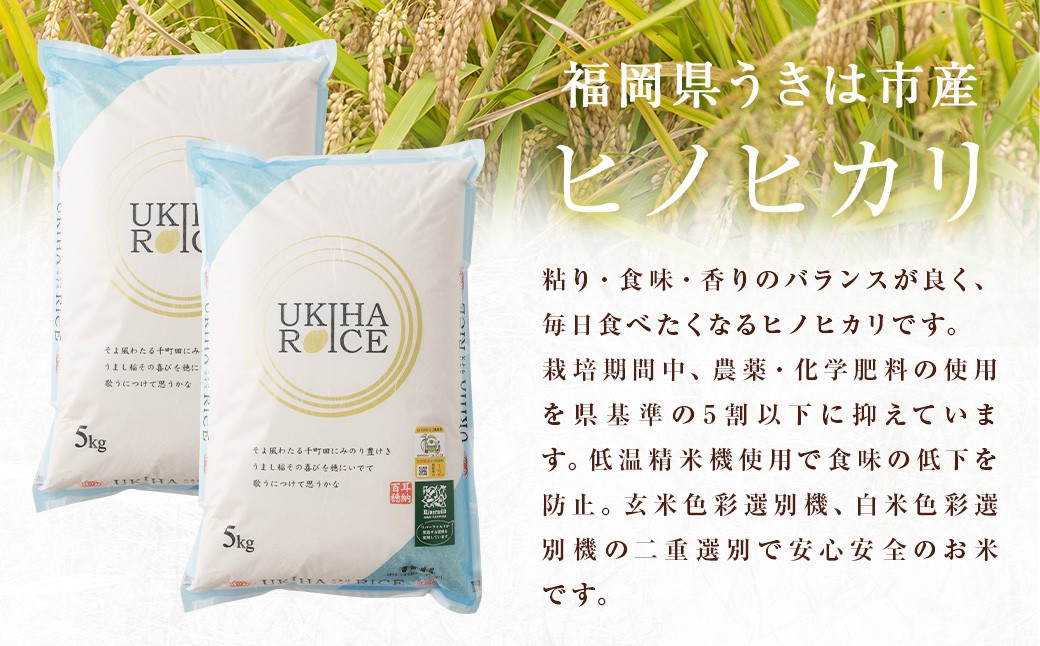 UKIHA RICE 白米5kg （特別栽培米）
