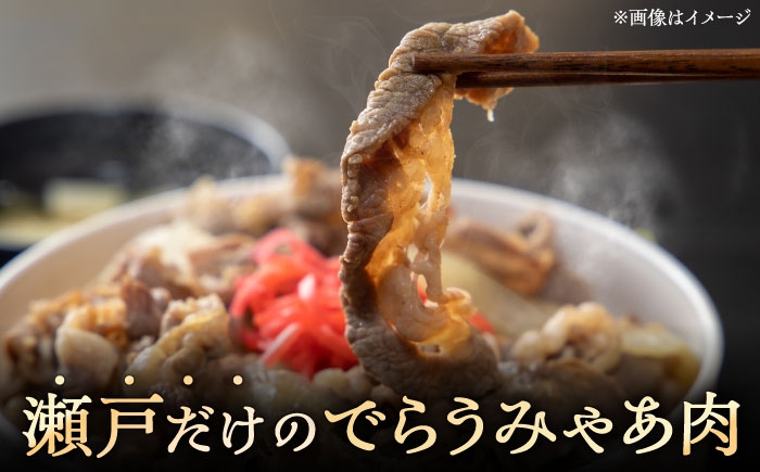 豚肉 小分け ミンチ 切り落とし バラ肉 豚ミンチ 豚肉セット 小分け 豚 