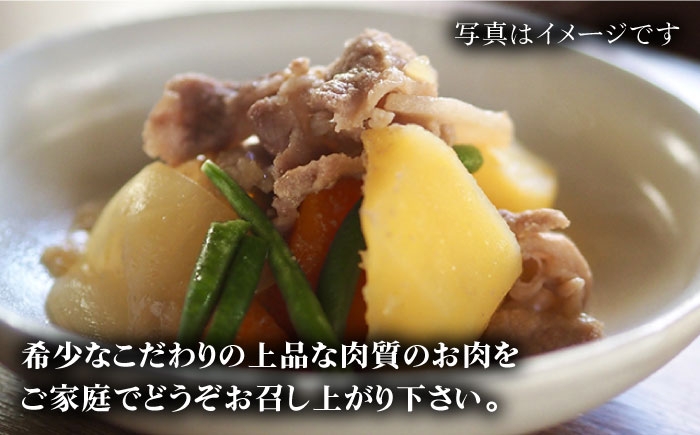 牛肉 和牛 国産 小間切れ こま切れ 冷凍 肉料理 おかず 長崎県