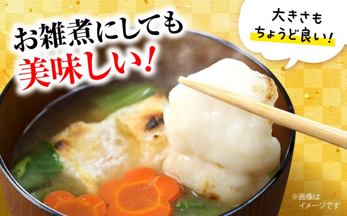 お餅 黒豆 セット 詰め合わせ 正月 餅 豆餅 ゆず餅 おもち 黒豆煮 もち モチ おせち