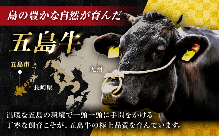 牛肉 和牛 国産 小間切れ こま切れ 冷凍 肉料理 おかず 長崎県
