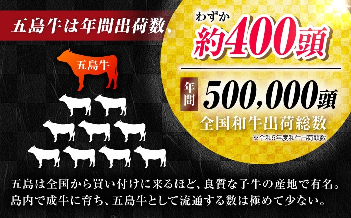 牛肉 和牛 国産 小間切れ こま切れ 冷凍 肉料理 おかず 長崎県