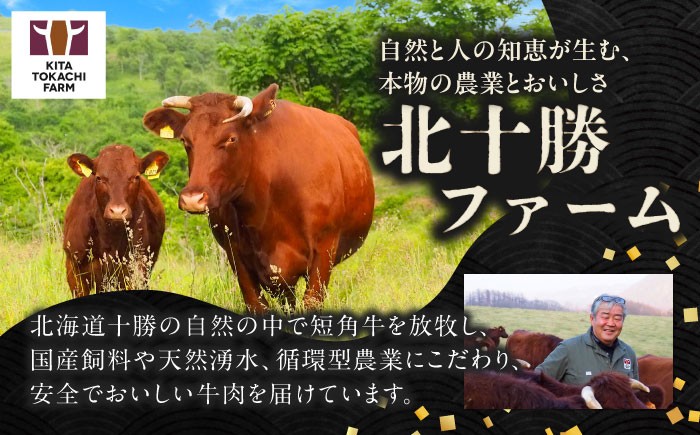 肉 ハンバーグ 牛肉 赤身 和牛 ギフト 北海道産 足寄町 北海道 