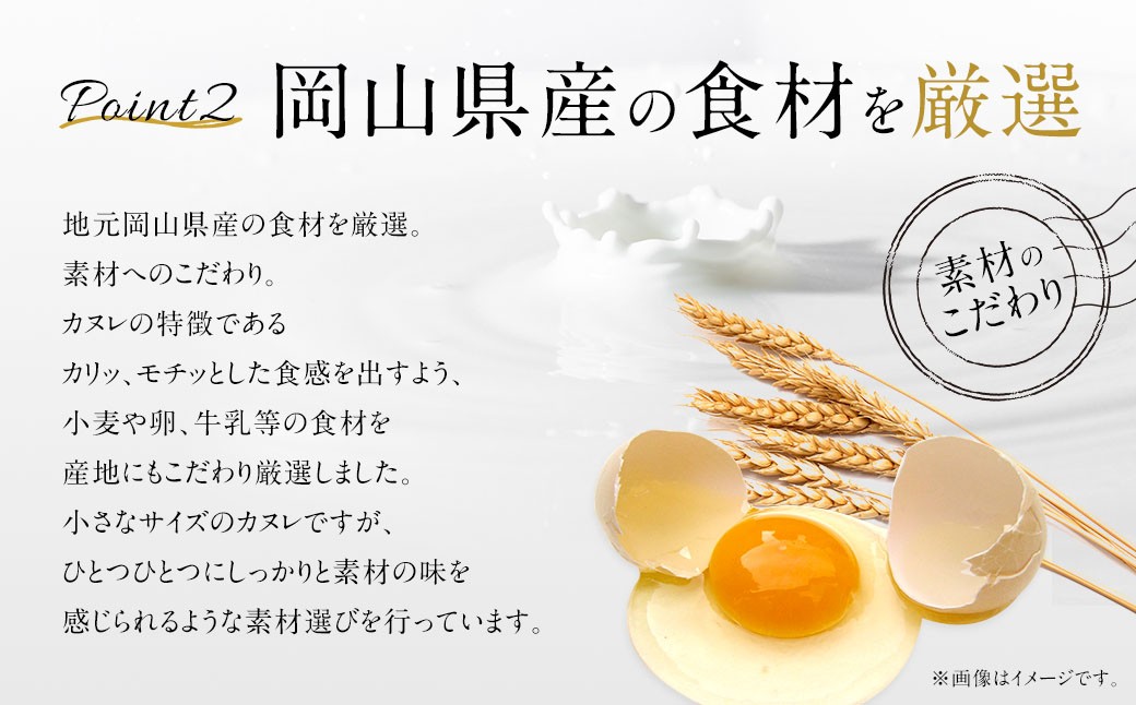 ガトーミュール サマー アイスカヌレ 19個入