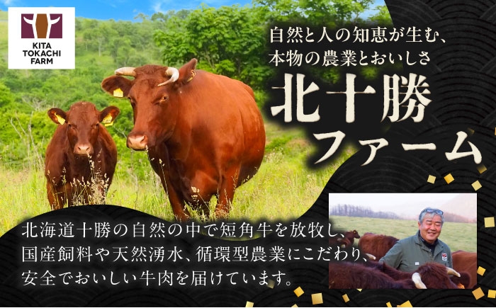 肉 サーロイン 焼きしゃぶ 牛肉 赤身 和牛 ギフト 北海道産 北海道 