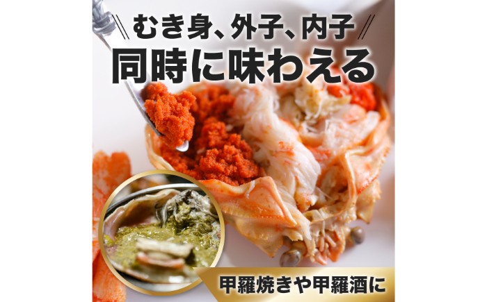 C25-033 甲羅盛り かに セコガニの甲羅盛 鳥取から直送！ 8個入り