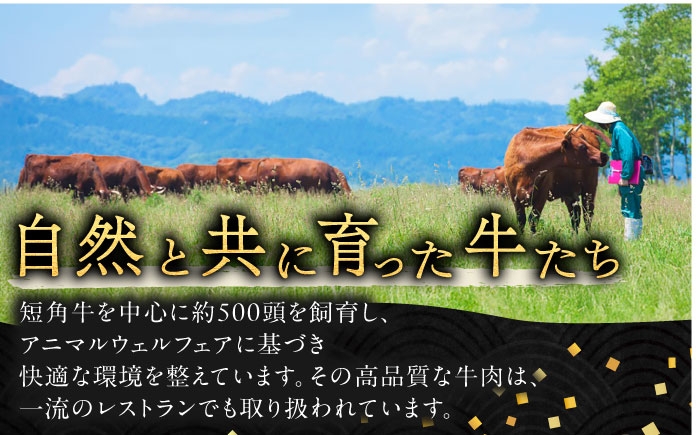 肉 小間切れ 牛肉 和牛 赤身 オーガニック ギフト 北海道産 足寄町 北海道 