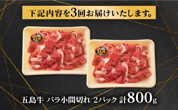 牛肉 和牛 国産 小間切れ こま切れ きりおとし 切り落とし 冷凍  煮物 炒め物 おかず  長崎県