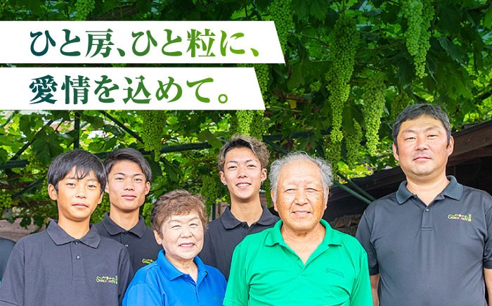 訳あり ピオーネ ぶどう 切り落とし 約1kg ブドウ 葡萄 ぶどう わけあり 国産 熊本県 山鹿市 果物 くだもの フルーツ