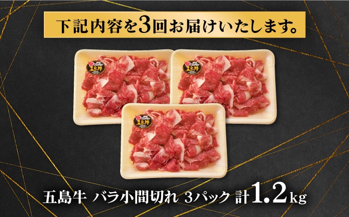 肉 牛肉 和牛 小間切れ 国産 切り落とし 牛丼 肉じゃが 炒め物 おかず 長崎県