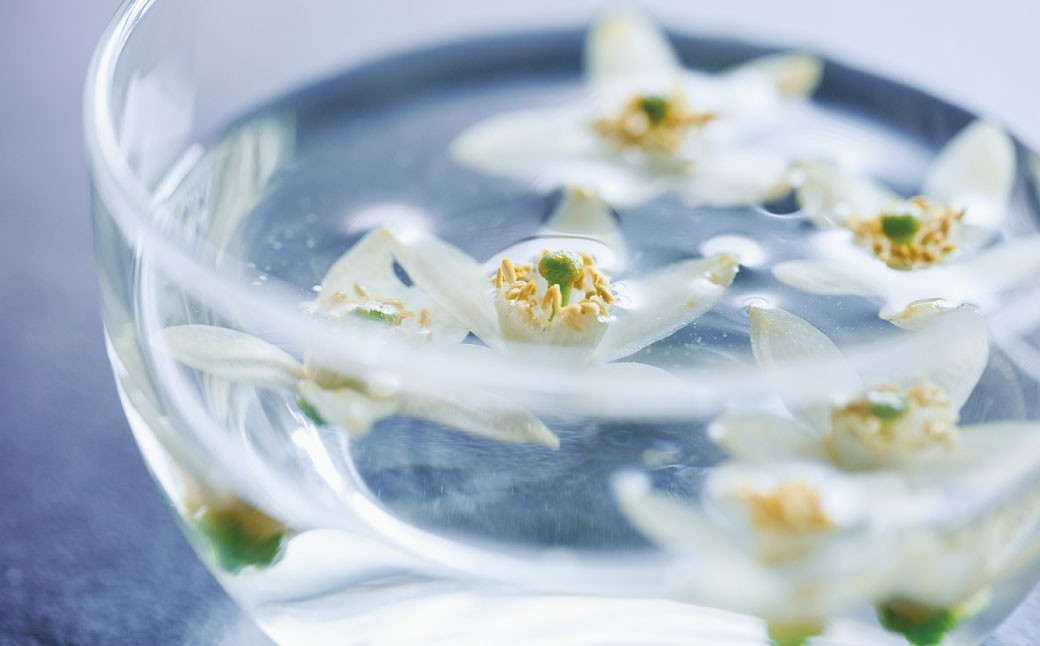 草花蜜 甘夏花シロップ 120ml 12本