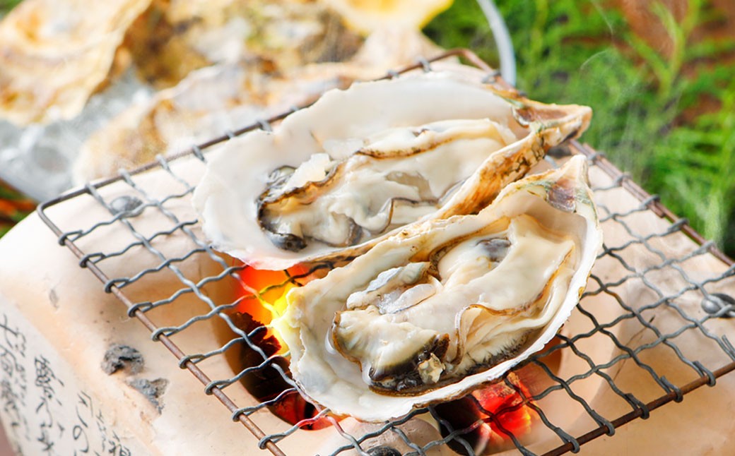 牡蠣 坂越かき 殻付き牡蠣