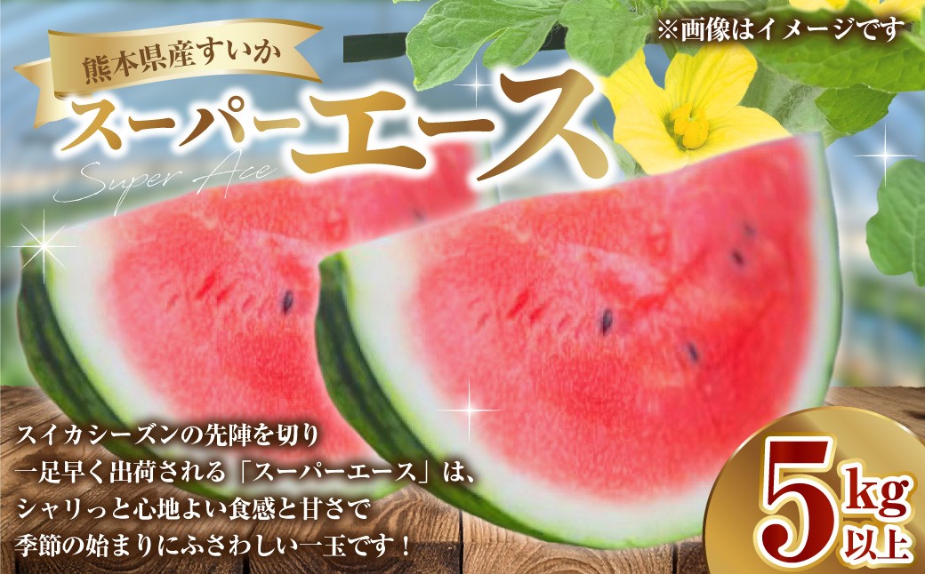 熊本県産 すいか スーパーエース 5kg以上
