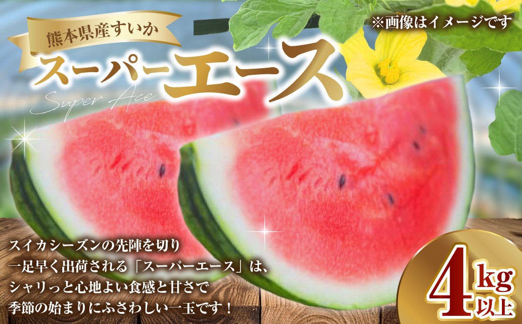 熊本県産 すいか スーパーエース 4kg以上
