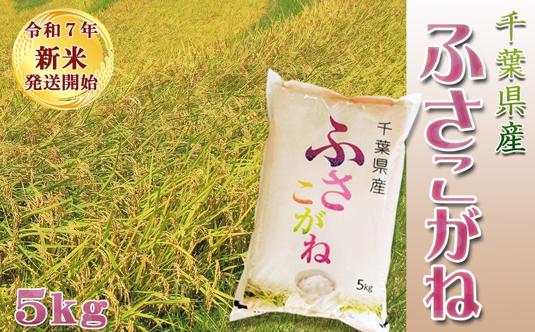 粒が大きくもっちりとした食感の千葉県産『ふさこがね』５kgをお届けします。