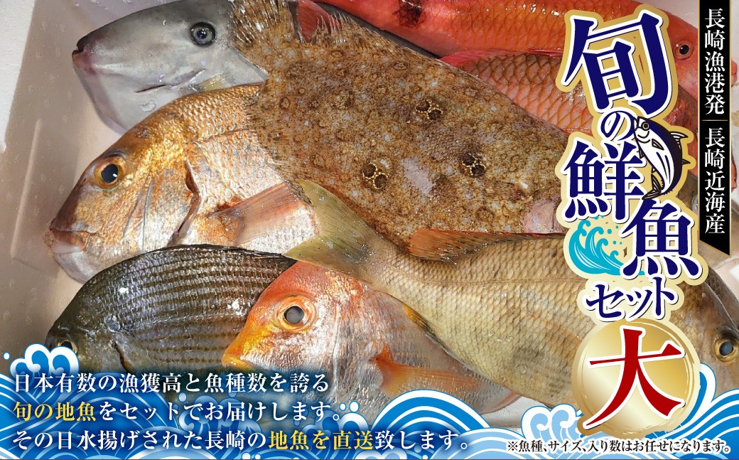 長崎漁港発!長崎近海産旬の鮮魚セット(大)