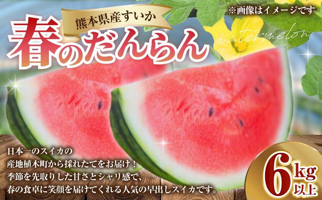 熊本県産 すいか 春のだんらん 6kg以上
