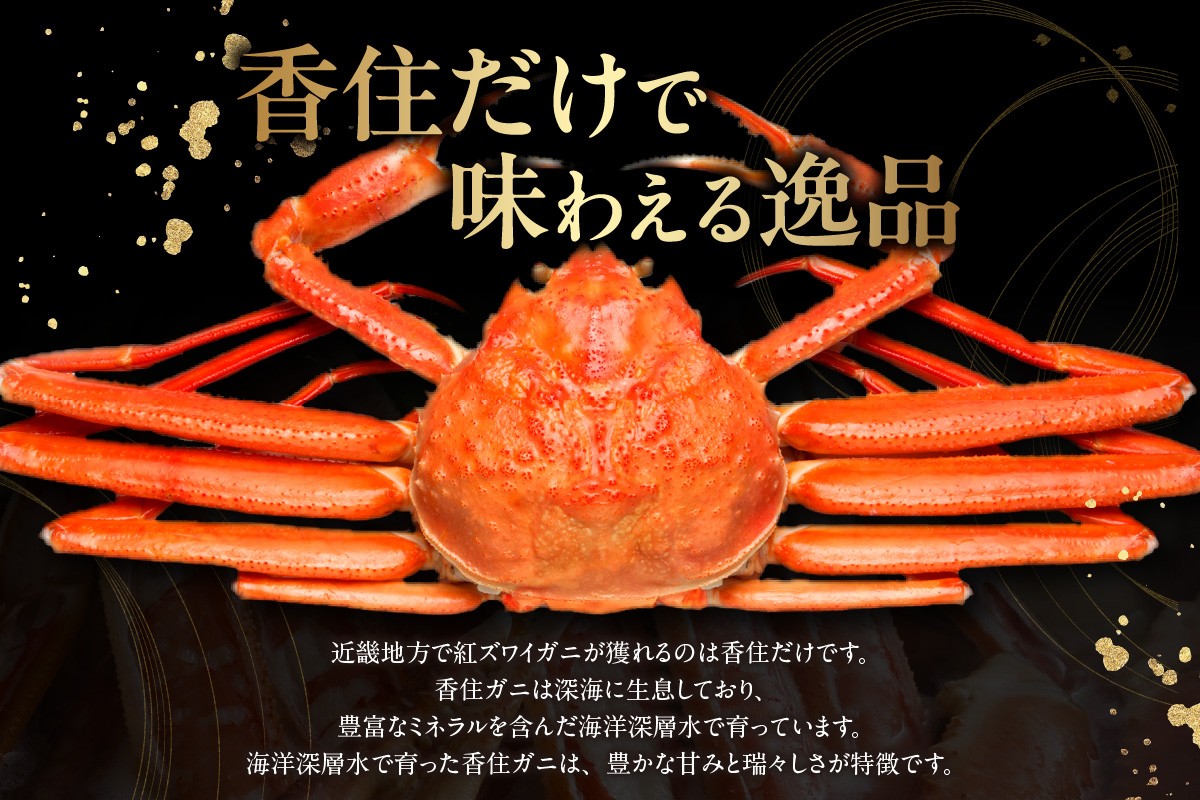 香住港でしか水揚げできない香住ガニ。