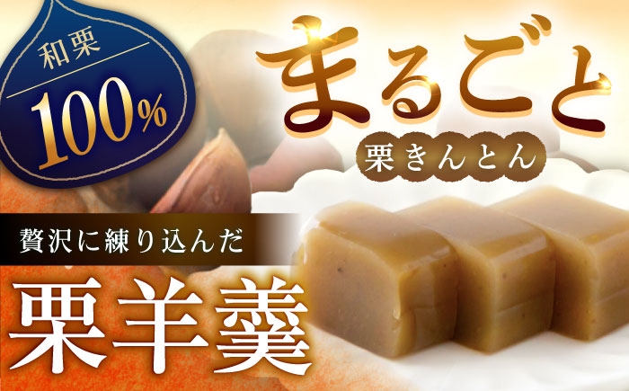 羊羹 ようかん 栗羊羹 くりようかん 栗 くり 栗入り 和菓子 栗菓子 栗 くり 贈答 ギフト おすすめ 人気 岐阜県 恵那市