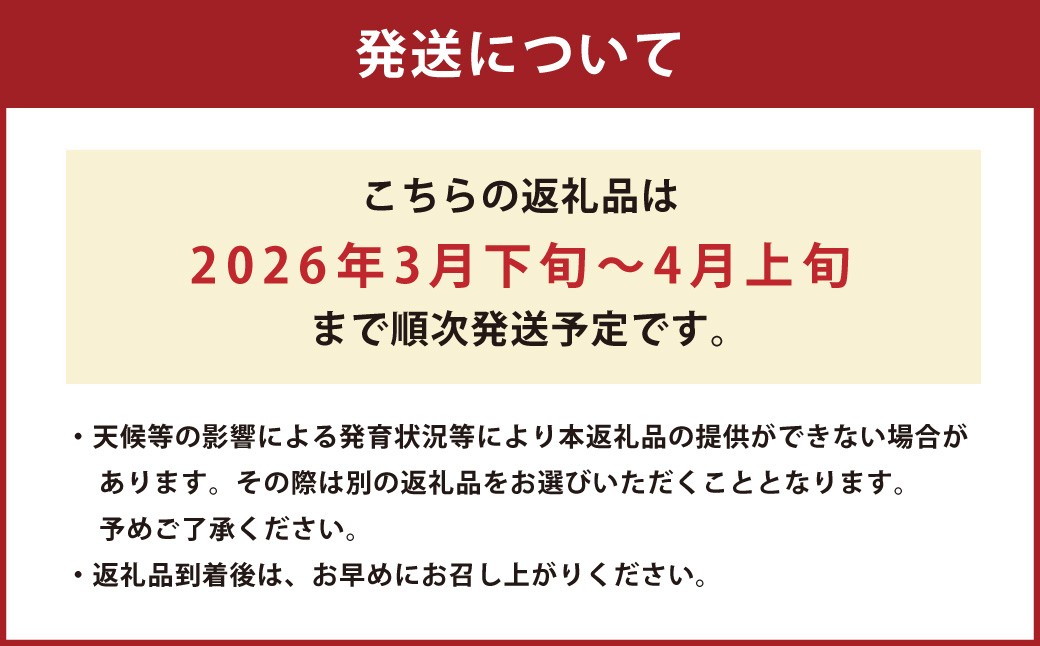 熊本県産 すいか 春のだんらん 5kg以上