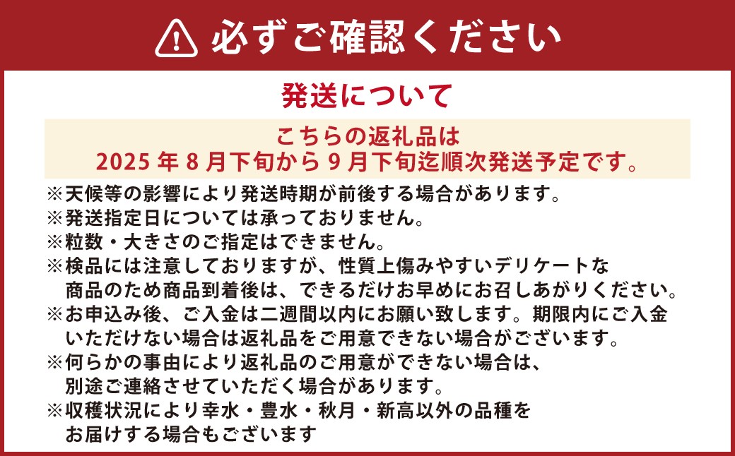 熊本市産 梨(幸水・豊水・秋月・新高など) 約4kg