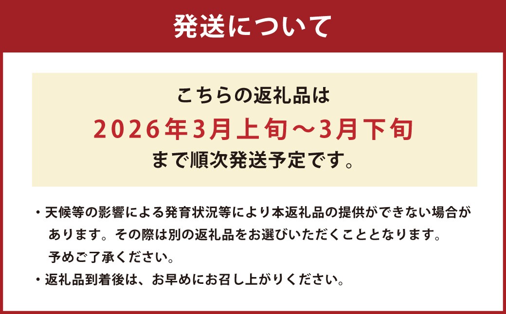 熊本県産 すいか スーパーエース 5kg以上