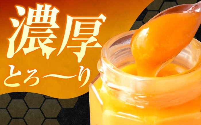 江田島産100％ はちみつ レモンカード檸檬の初恋 120g×3本セット ハチミツ バタークリーム 蜂蜜 広島 江田島