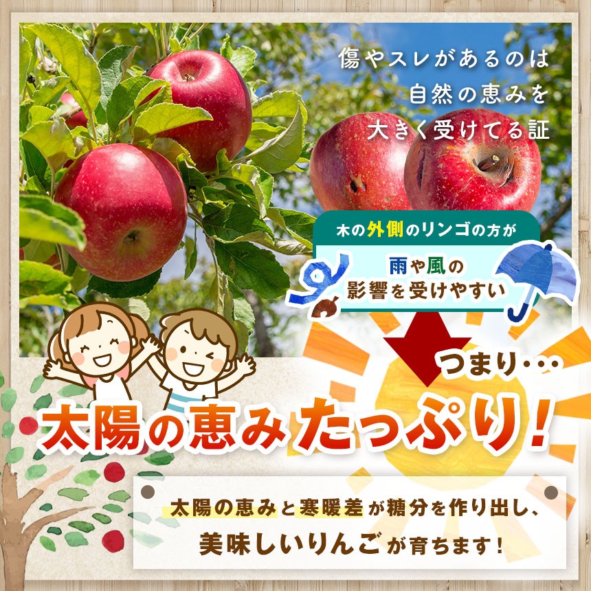 ※こちらは訳アリ商品になります。